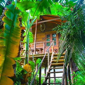 Hotel Kolon