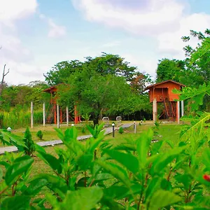 Hotel Sigiri Royal Point Tree House